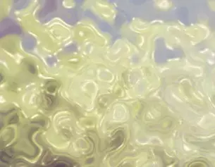 Flou abstrait aux teintes claires, evoquant des formes ondulees et organiques.