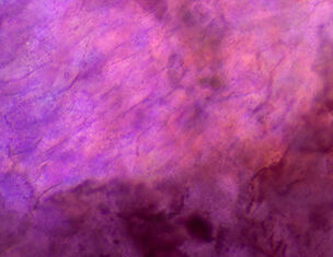 Gros plan abstrait de teintes violettes et rougeatres texturees, ressemblant a des motifs tourbillonnants dans un fluide ou une surface minerale.