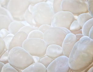Un gros plan de galets blancs lisses, brillants et irreguliers, creant une texture douce et apaisante.