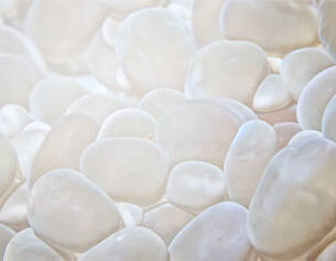 Un gros plan de galets blancs lisses, brillants et irreguliers, creant une texture douce et apaisante.