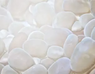 Un gros plan de galets blancs lisses, brillants et irreguliers, creant une texture douce et apaisante.