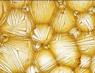 Details d&aposune texture doree presentant des motifs de stries et de bulles, evoquant un materiau organique ou mineral.
