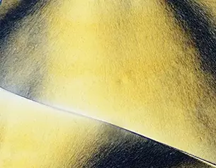 Abstract close-up of smooth, swirling yellow and black textures creating a vivid, dynamic pattern.