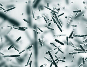 Microscopie d'une variete de bacteries et microorganismes en suspension dans un milieu aqueux, visible en detail.