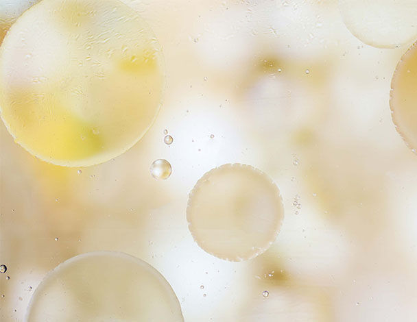 Des cercles translucides et flous flottent sur un fond doux et lumineux, evoquant une ambiance abstraite et apaisante.