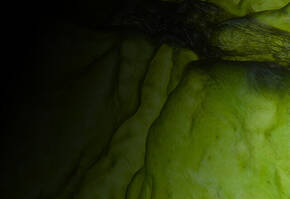 Abstract close-up of a textured green surface with varying shades and a hint of shadow, creating a moody atmosphere.