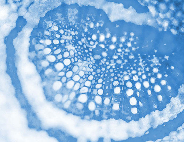 Texture abstraite en bleu avec des motifs circulaires et des spots blancs, evoquant un monde aquatique ou microscopique.