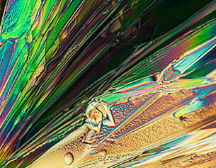 7,7% Complexe Multi-acides