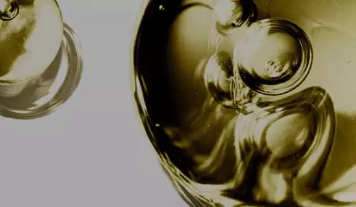 Trois flacons de serum en verre fonce sur un fond noir, avec un logo indiquant 20 ans d'existence.