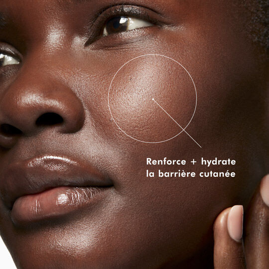 Phyto Corrective Essence Mist